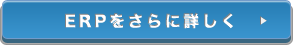 ERPをさらに詳しく