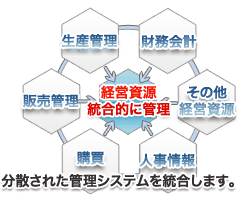 財務会計管理はこちら