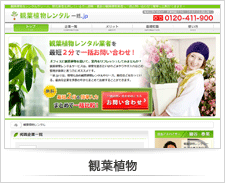 観葉植物