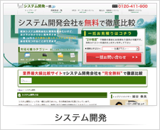 システム開発