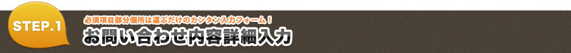 お問い合わせ情報の入力