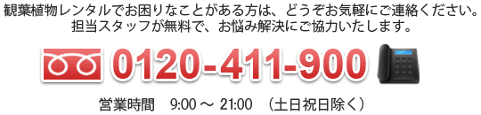 観葉植物レンタルでお困りなこと