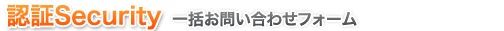 認証セキュリティ 一括問い合わせフォーム
