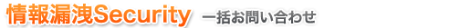 情報漏洩セキュリティ 一括問い合わせフォーム