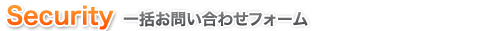 セキュリティ 一括問い合わせフォーム