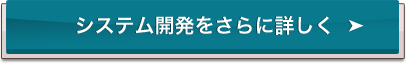 システム開発をさらに詳しく