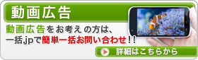 動画広告